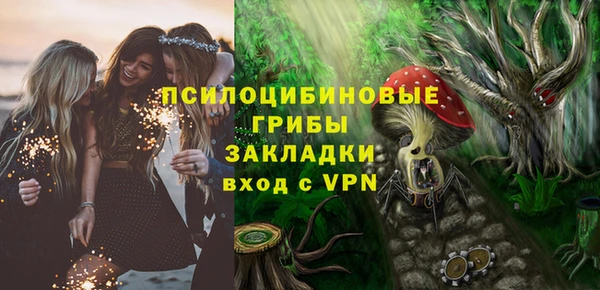 ГАЛЛЮЦИНОГЕННЫЕ ГРИБЫ Алексин