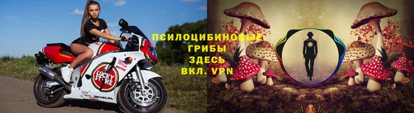 ALPHA-PVP Алзамай